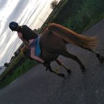 oscar_frank_doherty - @oscarfrank_doh - Instagram
