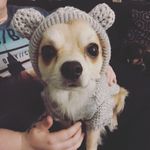 Oscar  Chi - @oscarrobertsdowning - Instagram