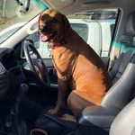 Oscar Downing - @oscardowningg - Instagram
