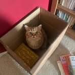 Oscar Downing - Facebook