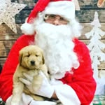 Oscar - @oscar_doyle_1234 - Instagram