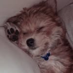 Oscar bieber - @oscardrewbieber - Instagram