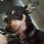 oscar drew - @oscar09drew - Instagram
