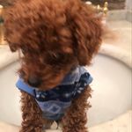@oscar.duff - Instagram