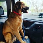 Oscar Dunn - @oscarsvoyages - Instagram