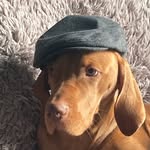 Oscardyer - @oscardyer40 - Instagram