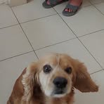 Oscar Eguia - Facebook