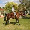 Oscar Eguia - @oscar.eguia1 - TikTok