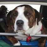 Oscar Mitchell - @oscar.mitchellboxer - Instagram