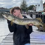 Oscar - @oscar_mitchell74 - Instagram