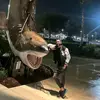 oscarsanchez2245 - @oscarsanchez2245 - TikTok