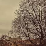 oscar sturm - @oscarsturm0.61 - Instagram