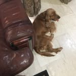 Oscar Udoji - @oscarudoji - Instagram