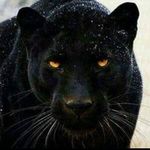 Oscar Wadero - @oscarwadero - Instagram