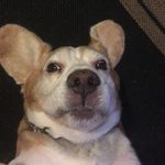 Oscar Meyer Walton - @oscarmeyerwalton_ - Instagram