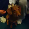 Oscar - @oscarwoods2 - TikTok