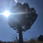 Oscar Woods - @oscarwoods784 - Instagram
