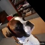 Oscar Wray - @wrayoscar997 - Instagram