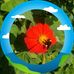 Oscar Wright - Facebook