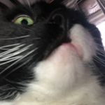 Oscar Wright - @oscarw.wright66 - Instagram