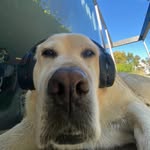 Oscar Wright - @wrightoscar23 - Instagram