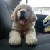 Oscar Zelada - Facebook