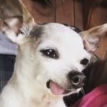 Oskar Anderson - @oskar_la_vista - Instagram