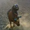 oskarychavez330 - @oskarych23 - TikTok