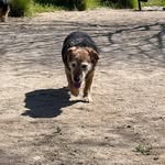 Oskar Daniel Aracena Espinosa - @ruteropapanata - Instagram