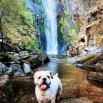 Oskar Sanchez - @oskarss81 - Instagram