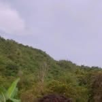 Osman Arias Ariza - @osmanariasariza - Instagram