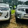 Osman Bonilla - @al.fredo215 - TikTok