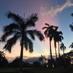 Osman Rosales Bonilla - @osmanbonilla - Instagram