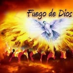 Osmar Perez - @perez1_osmar - Instagram