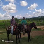 osmar Tavares - @osmar_tavares13 - Instagram