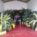Osmond Malcolm - Facebook