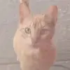 Osvaldo Ceja - @osvaldoceja2 - TikTok