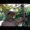 osvaldo lima - @osvaldolima42 - TikTok