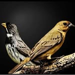 osvaldo matos neto - @osvaldomatosneto - Instagram