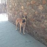 Osvaldo Serna - @osvaldo.serna.9693 - Instagram