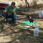 osvaldo serna - @buenavistaserna - Instagram