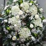 Osvaldo Serna Ramirez - @osvaldosernaramirez - Instagram