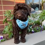 Oswald & Bernard - @oswald_the_dood - Instagram