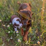 Oswald & Bernard Crump-Hardy - @ozzyandbernard - Instagram