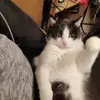 Oswald Bernard - @oswald.bernard - TikTok
