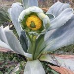 Oswaldo Bernardo - @oswaldo.bernardo.56 - Instagram