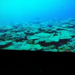 Oswald Davis - @davis7076 - Instagram