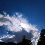 Oswald Davis - @yyheegvg - Instagram