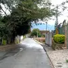 Oswaldo Hernandez - @oswaldo.hernandez109 - TikTok