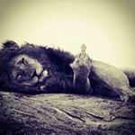 Oswald Jean Paul - @oswaldjeanpaul - Instagram